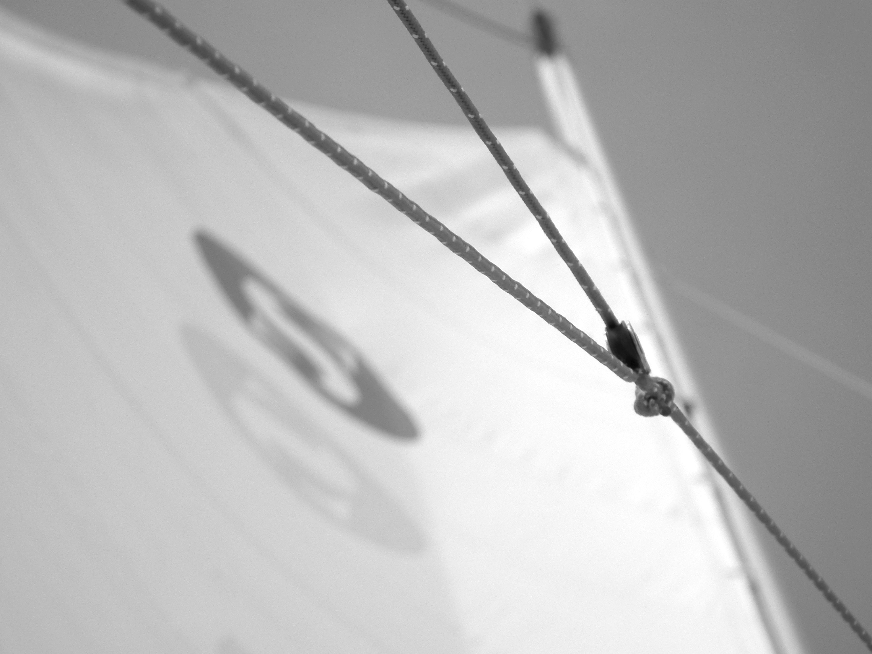 Szélrózsa Regatta 2019