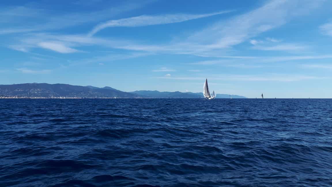 22° Memorial  Romano Caselli Regata sociale YCC